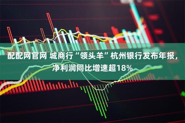 配配网官网 城商行“领头羊”杭州银行发布年报，净利润同比增速超18%