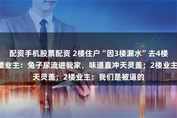 配资手机股票配资 2楼住户“因3楼漏水”去4楼养兔子大鹅，3楼业主：兔子尿流进我家，味道直冲天灵盖；2楼业主：我们是被逼的