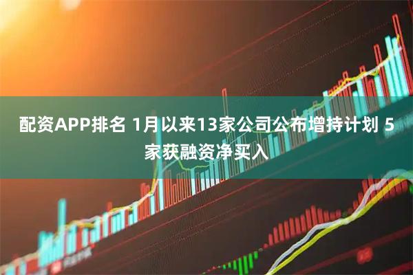 配资APP排名 1月以来13家公司公布增持计划 5家获融资净买入
