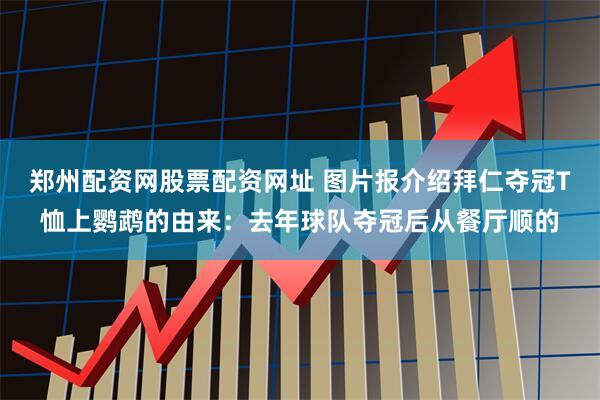 郑州配资网股票配资网址 图片报介绍拜仁夺冠T恤上鹦鹉的由来：去年球队夺冠后从餐厅顺的